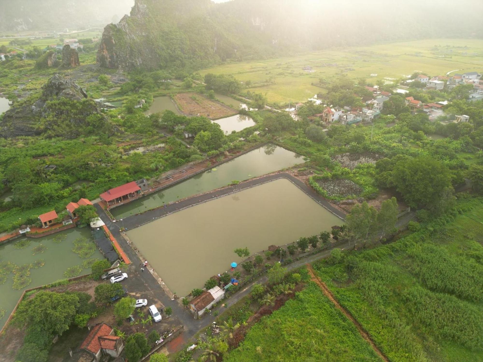 Tam Coc Cat Luong Homestay Ninh Bình Extérieur photo