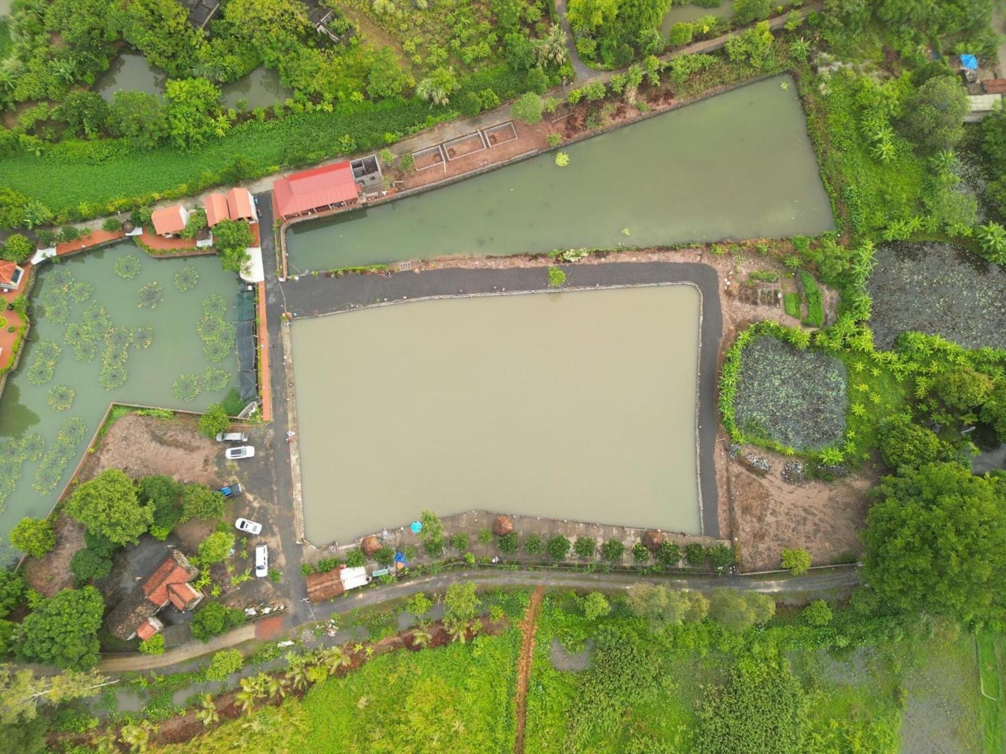 Tam Coc Cat Luong Homestay Ninh Bình Extérieur photo